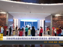 【渭南教育】30余名学生走进合阳历史文化博物馆学习历史文化  感受传统习俗