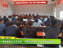 渭南高新区辛市街道：专题培训强能力 蓄势赋能促提升