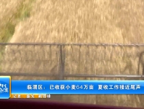临渭区：已收获小麦64万亩  夏收工作接近尾声 