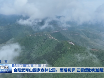 合阳武帝山国家森林公园：雨后初霁 云雾缥缈似仙境