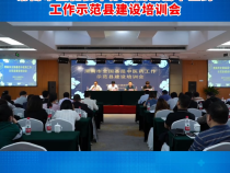 【健康渭南】渭南市卫健委举办全国基层中医药工作示范县建设培训会