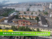 韩城市龙门镇北庄社区：好豆做出好产业 开拓进取路更宽