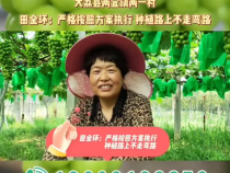 【我和天福樱花的故事第三季】大荔县两宜镇两一村田金环：严格按照方案执行，种植路上不走弯路