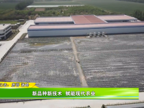 新品种新技术  赋能现代农业