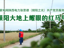 “光明耀秦东 党旗分外红”融媒报道第五期：频阳大地上耀眼的红马甲