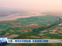 大荔：黃河水天碧如藍  萬畝濕地江南景