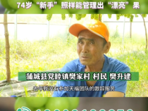 【我和天福樱花的故事第三季】 有志不在年高 74岁“新手”照样能管理出“漂亮”果！