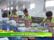 做好产品和品牌 增收致富有保障