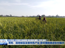 渭南：因地制宜发展特色产业 助农增收推进乡村振兴