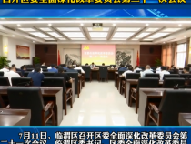 临渭区召开区委全面深化改革委员会第二十一次会议