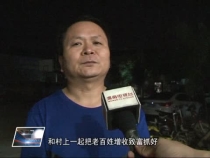 临渭区未来24小时最高气温将达到或超过37度