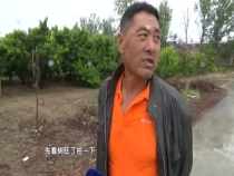 壮壮帮忙：桃子采果后要施肥吗？