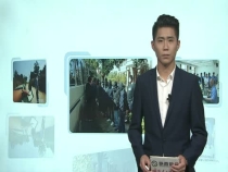 掃黑除惡不手軟 澄城警方打掉一涉黑涉惡集團