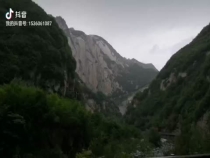 骤雨山行 艳景罔顾