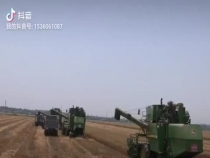 全程机械化下的精耕细作