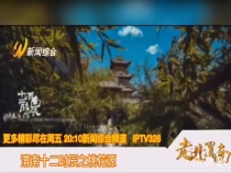 渭南十二時辰之桃花源