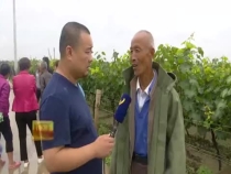 葡萄水罐子病咋防治
