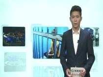 澄城一男子朋友圈谩骂交警执法被拘