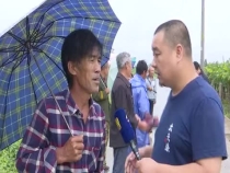 壮壮帮忙：葡萄雨后病害预防