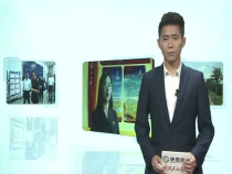 凝聚先锋力量 践行承诺担当市中级人民法院考核办副主任杨洁
