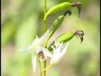 李步超：不干點事對不起黨員的身份