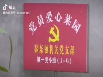 镇政府大院开菜园 党员干部种菜 只为贫困群众吃上新鲜蔬菜