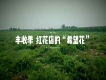 紅花店的“希望花”
