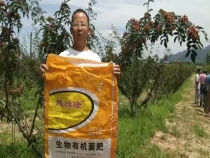 這里的花椒像條龍