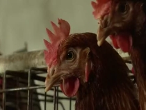 華州赤水：扶貧扶智扶志  從要他脫貧到他要脫貧