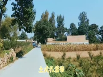乡村记忆：土法扎笤帚你还记得吗?