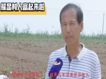 产业调整让耀显村人有了奔头