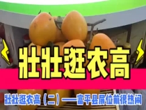 壮壮逛农高（二）富平展位前很热闹