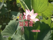 临渭豆腐泡