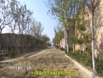 我今年最大的愿望就是把羊群扩大