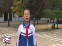 胡可欣