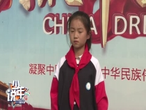 经开区实验小学少年说校雨涵
