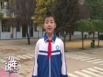 张卓璇