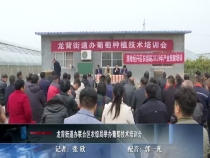 龙背街道办联合区农综局举办葡萄技术培训会