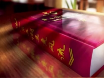 勇立潮头竞风流—渭南广播电视台三十年创业回眸