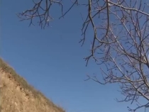 脱贫之路贵在坚持