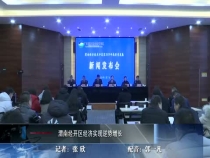 渭南经开区经济实现逆势增长