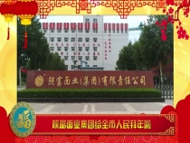 陕富面业集团给全市人民拜年啦