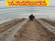 莺飞草长二月天 科学防疫忙春耕