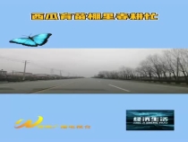 西瓜育苗棚里春耕忙