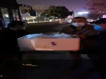 像期待春暖花开一样 期盼疫情早点结束