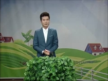 《农家四季》显辉说：二月二 龙抬头