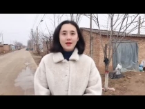 设施冬枣春季棚体如何管理