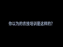 一场特殊的培训会