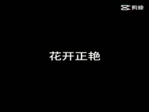 不要偷懒一时 耽误一年
