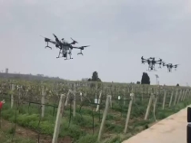 福康植保：无人机飞进猕猴桃园 防冻有了“新武器”